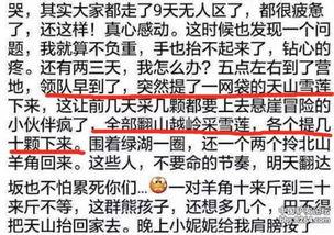 雪莲网友爆料视频,揭秘惊人内幕  第1张